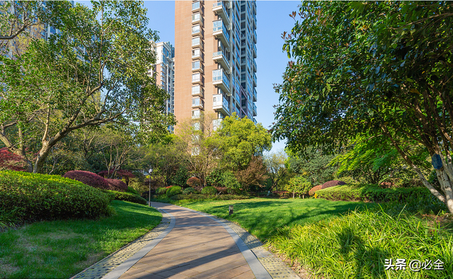 常见的常绿树和落叶树有哪些，南北方小区绿化常用苗木有哪些