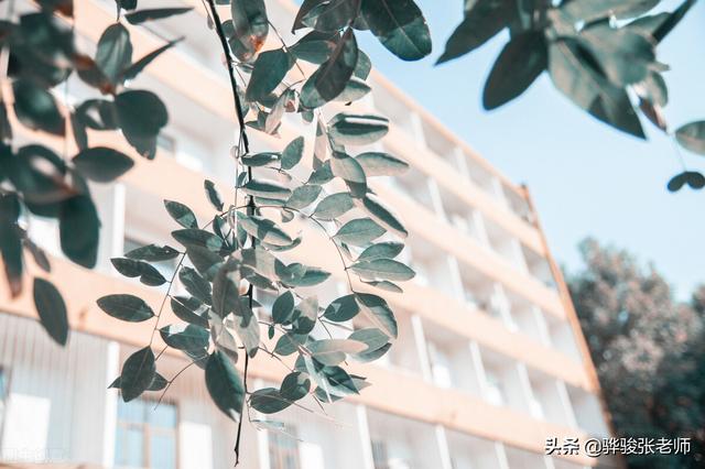 华北水利水电大学专业排名，2018华北水利水电大学优势专业排名情况（同桌进入国家电网）