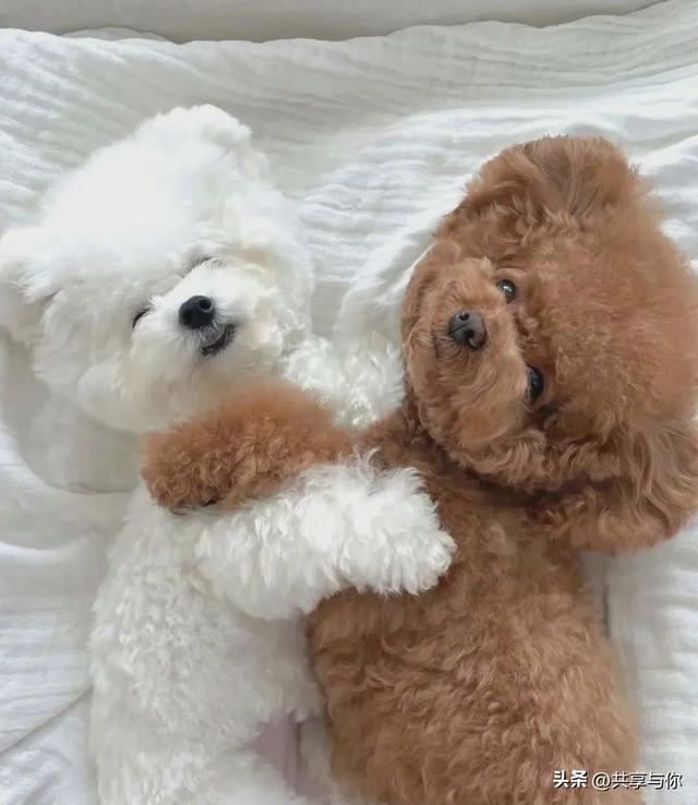 美丽背景图片  ❤️，美丽背景图片大全 唯美 梦幻（一组高级感满满的微信女头）