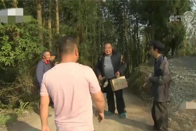 梦见好多鸡蛋捡鸡蛋是什么意思，梦见捡好多鸡蛋什么意思（湖南男子承包1200亩荒山）