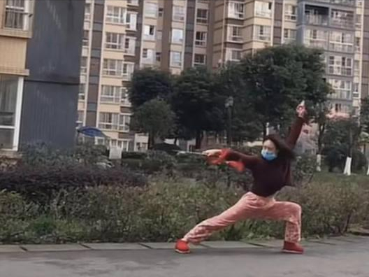 峨眉文武学校（提剑扔垃圾的女侠）