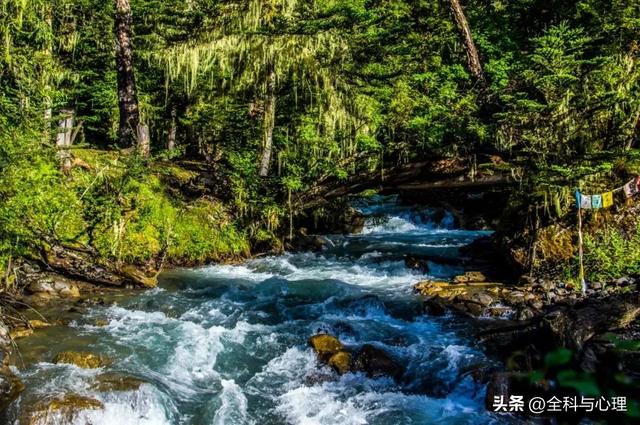 泸沽湖的海藻花几月份去最好，夏日云南美景可不止一点点