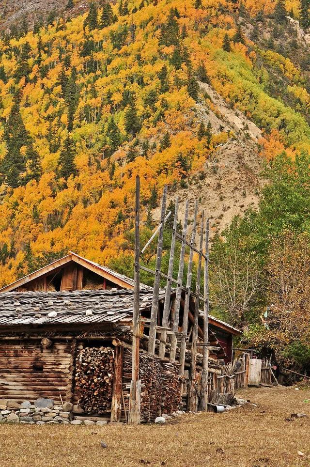 318旅行沿途风景地图，不期而遇的风景向你扑面而来……