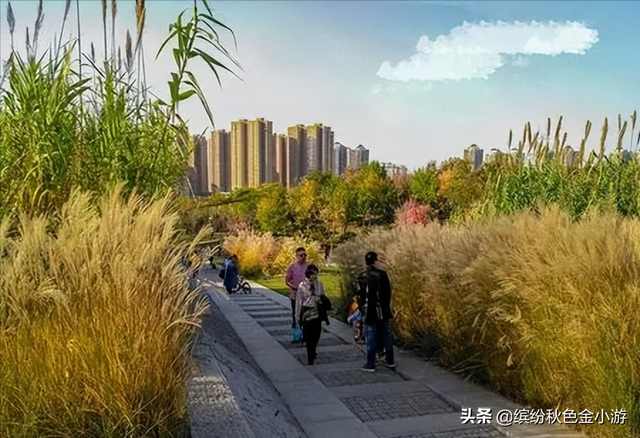 西安十大旅游景点有哪些，西安的著名旅游景点有哪些（这15处免费又好玩）