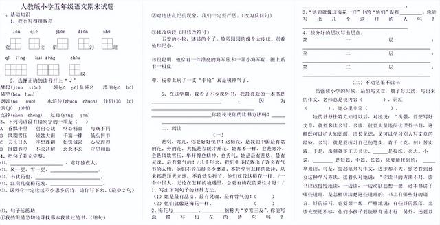 如何考好语文，如何考好语文作文（语文成绩不好先别着急抓阅读和写作）