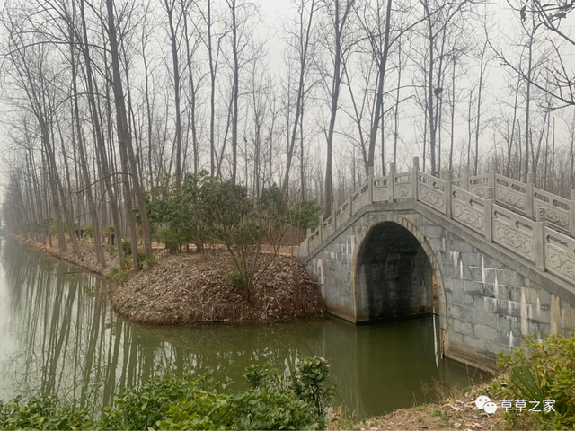 滨湖湿地森林公园，滨湖湿地森林公园游玩攻略（滨湖湿地森林公园）