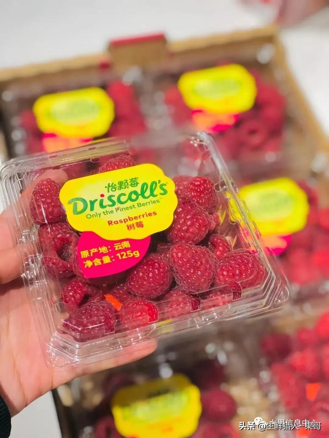 浆果是什么，浆果是什么软件（不同水果的不同包装<浆果篇>）