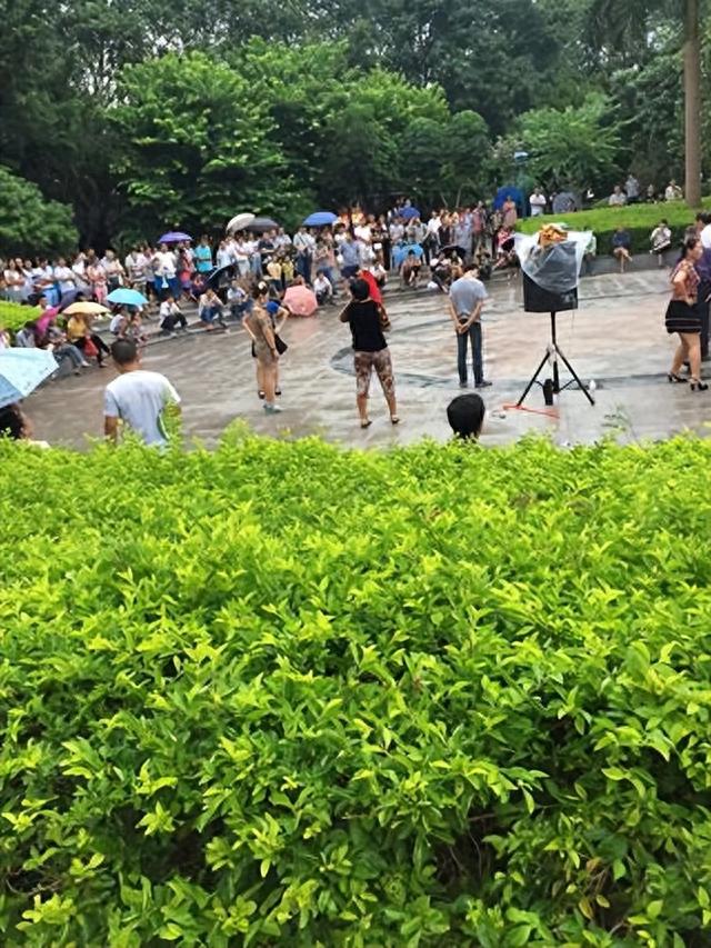 实拍深圳龙华公园，深圳最著名的公园之一，非常受年轻人的喜欢
