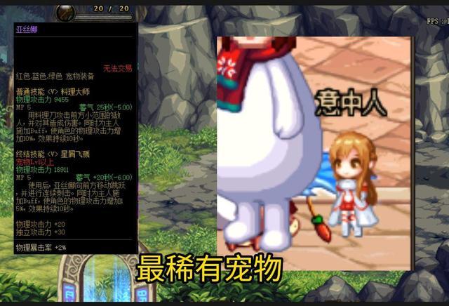 dnf玛巴斯宠物属性，DNF：盘点最稀有宠物排行