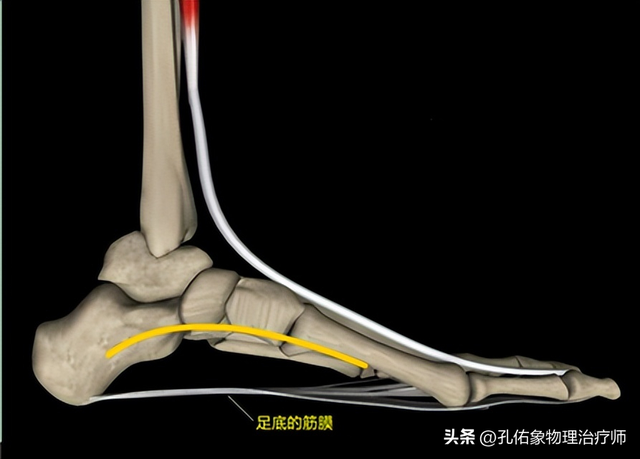 背部疼痛是什么病的前兆，背痛是什么病的前兆吗（不出意外，是筋膜炎）