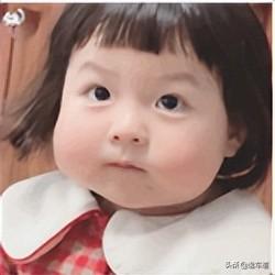 法拉利和兰博基尼(兰博基尼和法拉利的区别)