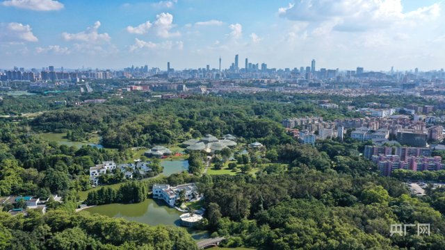 我国常见的候鸟有哪些，我国常见的候鸟有哪些品种（东方白鹳首次成群现身广东）