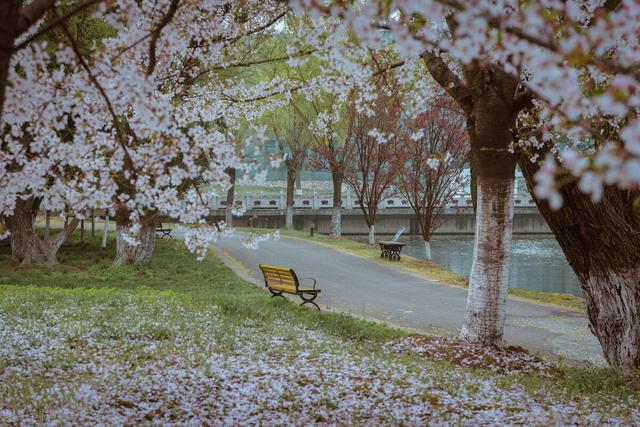成都铁路卫校如何_管理好不好，成都铁路卫校（成都升学率高的卫校有哪些）
