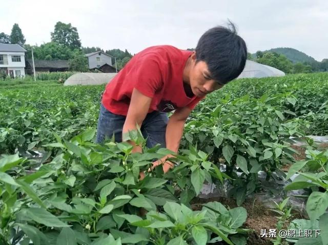 不能参加婚礼的五类人，不要参加婚礼的人（农村婚宴新娘安排本硕博同学分桌吃席）