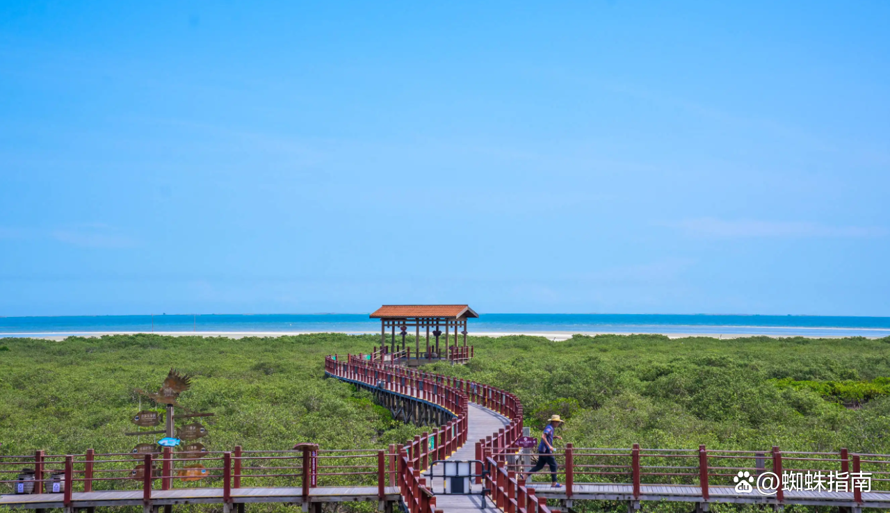 北海有什么好玩的(北海在哪个地方)