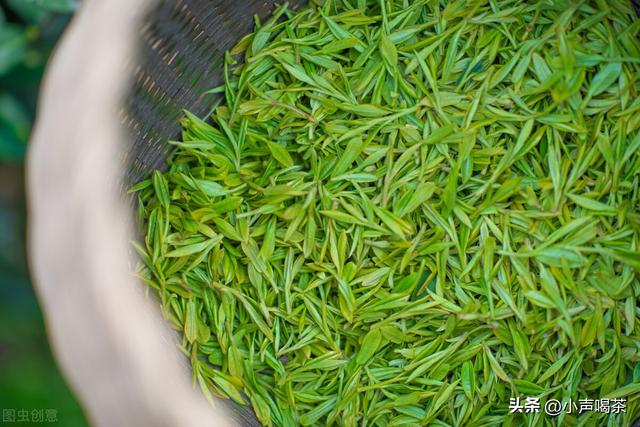 西湖龙井是什么茶，西湖龙井是红茶还是绿茶（认识名茶，一文了解西湖龙井）