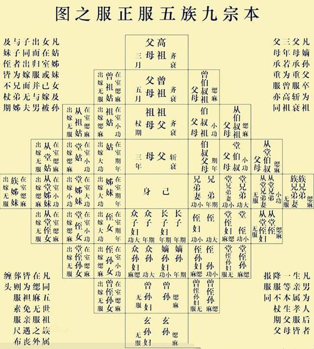 堂兄弟下一代还亲吗，爷爷和孙子有血缘关系吗（“堂兄弟”和“叔伯兄弟”的区别）