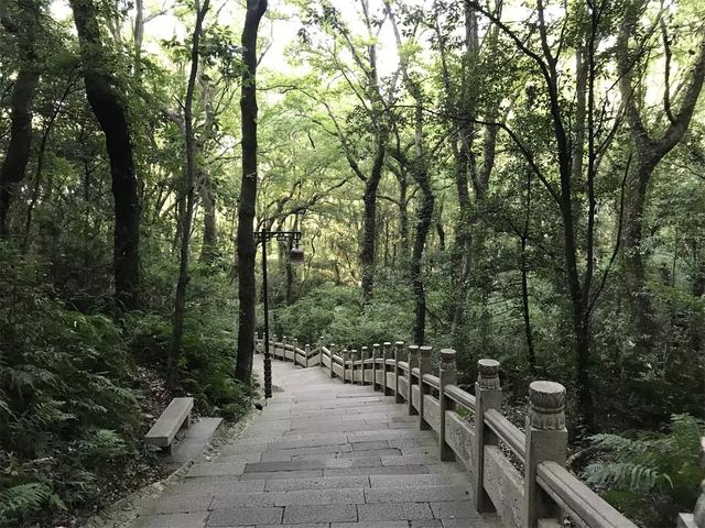 普陀山旅游攻略二日游，普陀山旅游攻略一日游最佳路线（浙江普陀山游玩路线和观音法界）