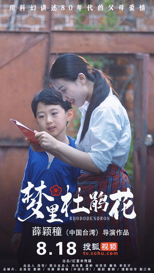 无怨无悔爱一场是什么歌，无怨无悔爱一场是什么歌曲（《梦里杜鹃花》为爱发声）