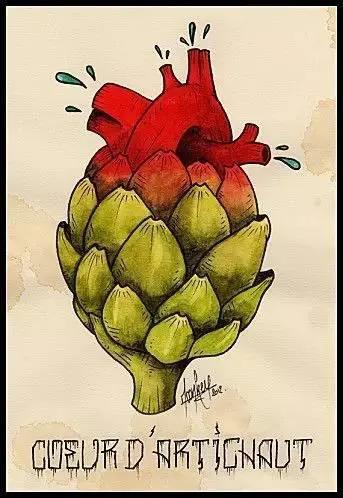 洋蓟的功效与作用，洋藓的功效与作用（洋蓟是什么东西）