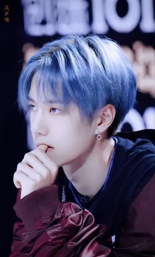 洛阳白牡丹——王一博，为什么叫王一博洛阳白牡丹（洛阳白牡丹—王一博图片）