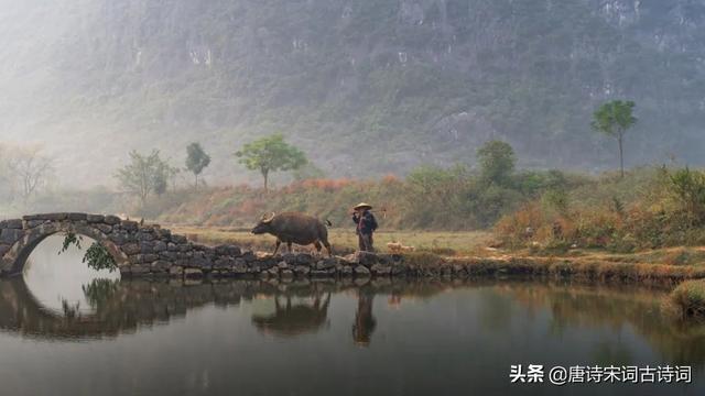 描写春雨的词语，描写春天细雨绵绵词语（春雨蒙蒙地下）