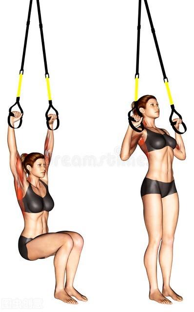 飞燕式腰背肌锻炼，腰背肌锻炼的好方法和注意事项（一组背部训练刺激背肌）