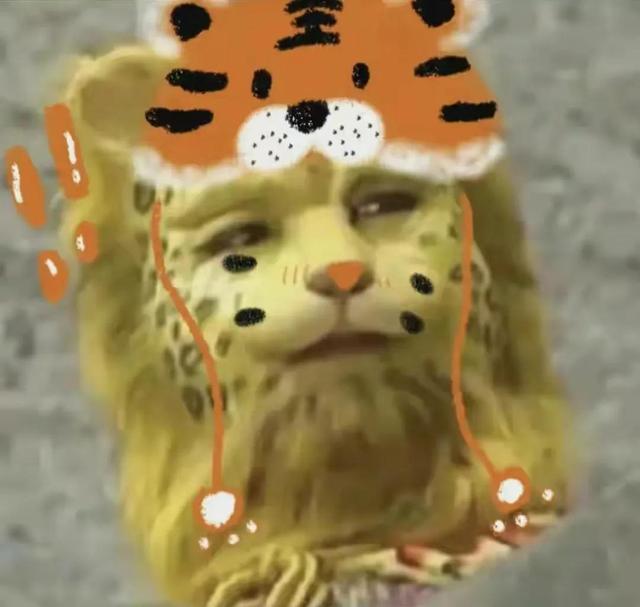 金钱豹头像图片，金钱豹头像✨微信（最全金钱豹头像！请叫我谢谢）