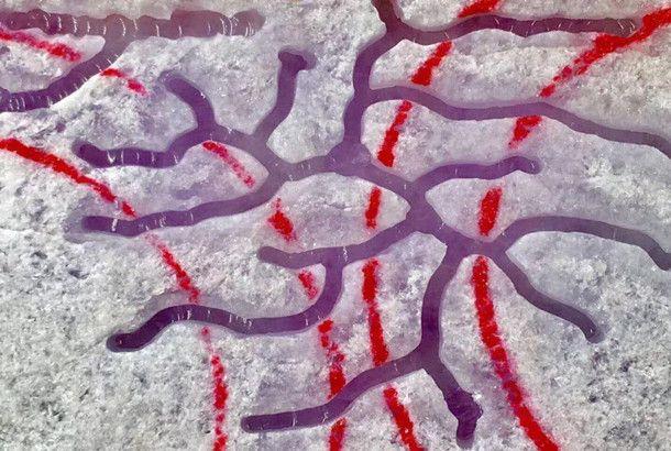 如何鉴别紫罗兰翡翠手镯，紫罗兰色翡翠手镯（美女一口价拿下的赌石）