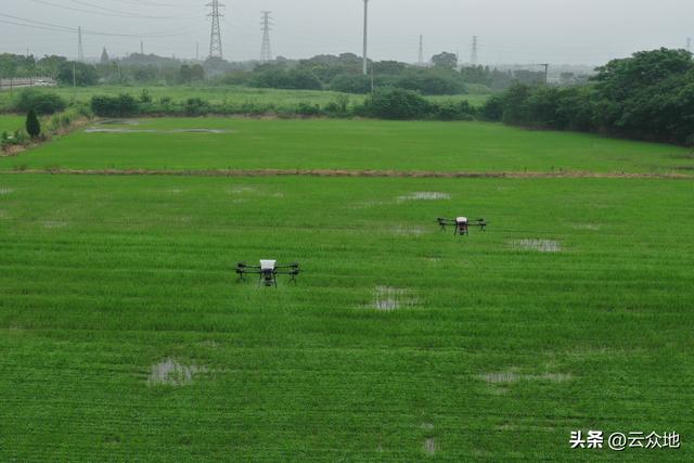 种粮大户利润下降，干旱、成本上涨、人工难请
