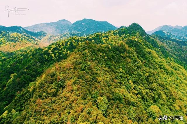 关于诸暨五泄风景区介绍，诸暨五泄风景区图片（今年的船票价格涨了一倍）