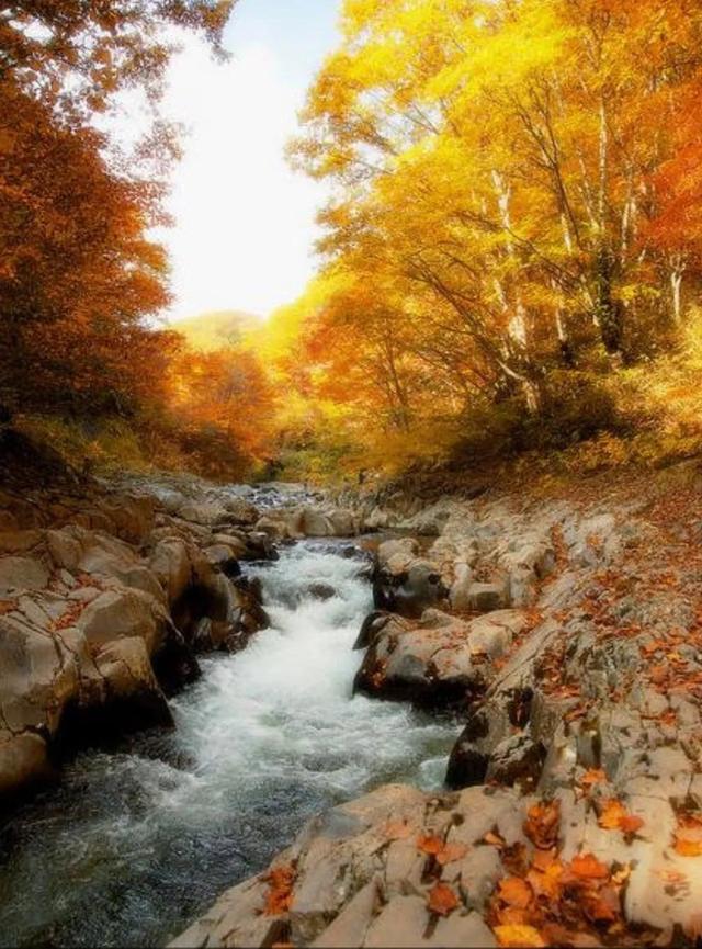 秋天是一个什么样的季节，秋天是一个什么样的季节写一段话（分享绝美秋色：叠翠流金）