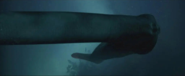 关于蛇的电影有哪几部，关于蛇的电影有哪几部分（评分最高十大怪兽电影）