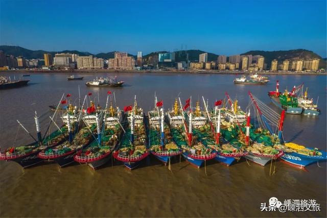 葱油黑鲷鱼做法，油炸鲷鱼做法（东海全面解禁）