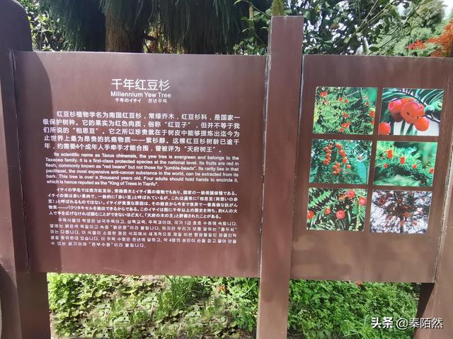 怎样游览邛崃天台山，去邛崃天台山（2022夏日自驾旅行体验）