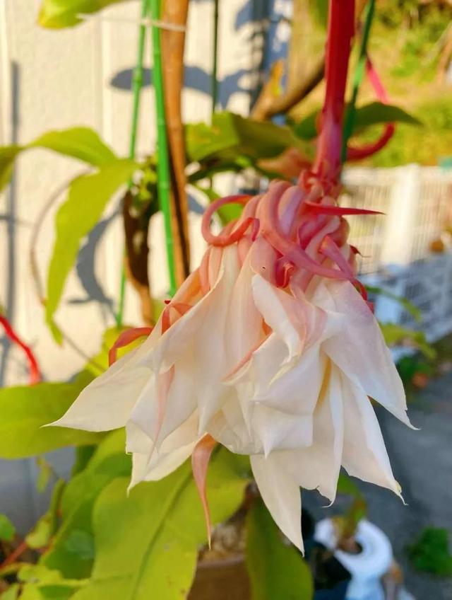 灵魂相似的人一旦相逢，灵魂相似的人一旦相逢是知心朋友（总有一天会在路上相逢）