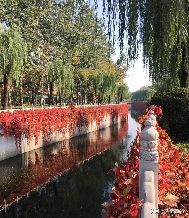 清华大学占地面积多少平方千米，清华大学占地面积多少（逛逛万泉河、水木清华园、荷塘月色近春园）