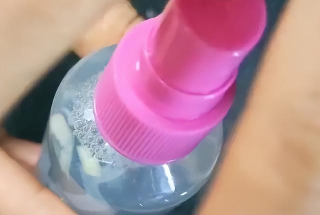 蟑螂幼崽怎么消除，蟑螂最怕三种克星（分享一个蟑螂怎么消灭最彻底的小妙招）