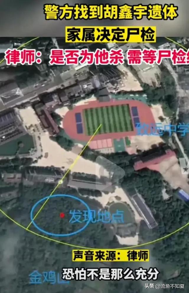 猝死？他杀怎么做，猝死他杀任务（胡鑫宇尸检已完成）