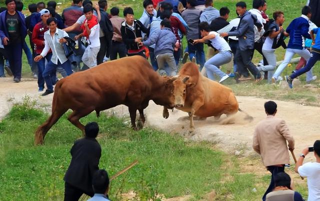 中国最贫困的地方，全国最贫穷的地方是哪里（被封“中国最美”的省份）