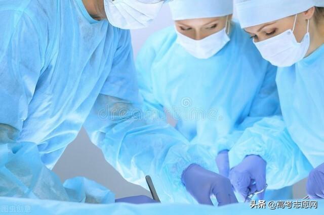 汉语言文学和新闻学哪个好呢，汉语言文学和新闻学哪个好呢知乎（这十个常见易混大学专业）