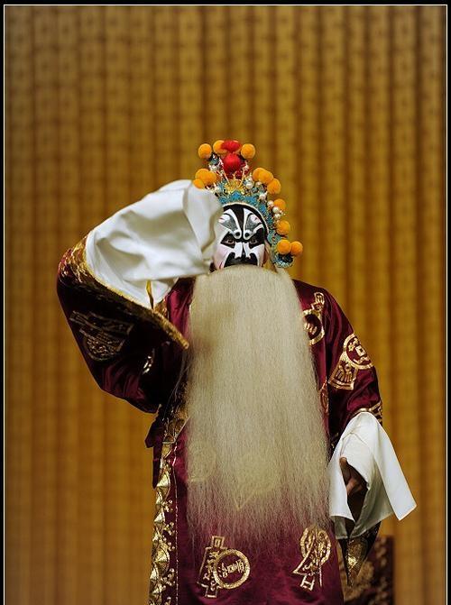 飞蛾扑火下一句是什么歇后语，飞蛾扑火歇后语下一句是什么（幽默风趣充满情感和智慧的歇后语）