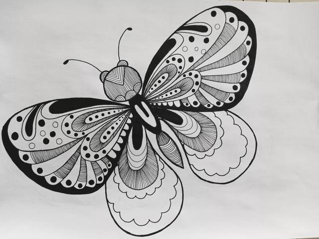 蝴蝶怎么画简单好看，如何画一个简单蝴蝶（《蝴蝶》线描画绘画过程）