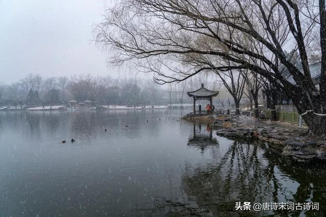 漫天的雪花在你眼里如什么哪，在你的眼里雪花是什么（来吧，让我们看一场春雪）