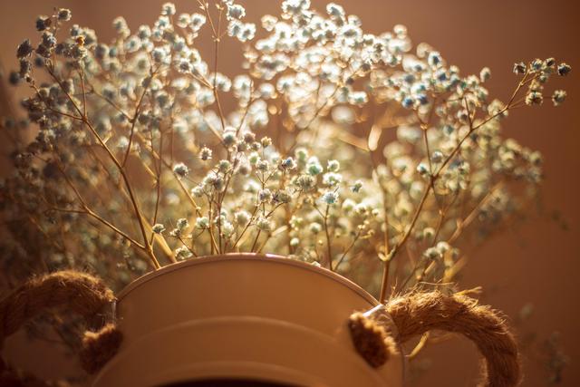 压力公式初中物理，初中物理公式归纳（初中物理10个“不一定”汇总）