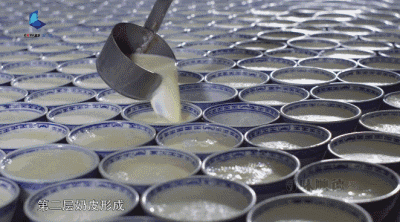 沙堤机场是什么地方，沙堤机场是什么地方靠近哪里（广东佛山机场要改造了）