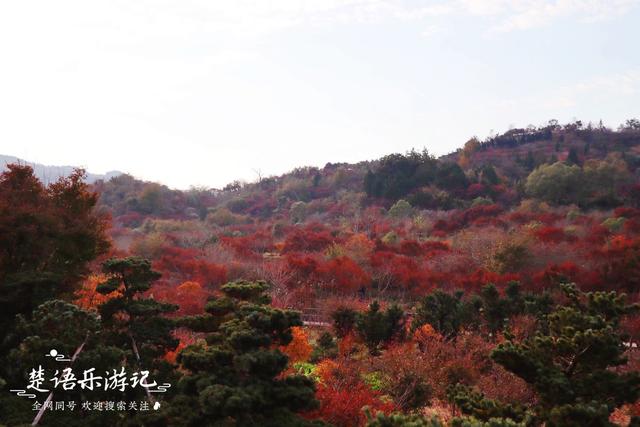 奉化溪口旅游，奉化溪口旅游攻略（宁波这个古村毗近三隐潭）