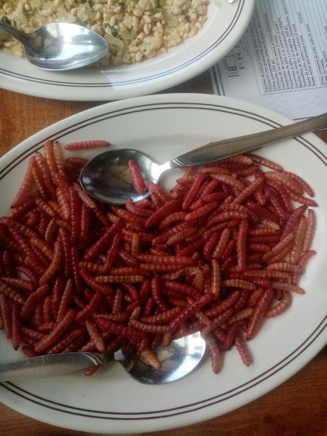 墨西哥不得不吃的美食，墨西哥当地美食（墨西哥人吃什么）