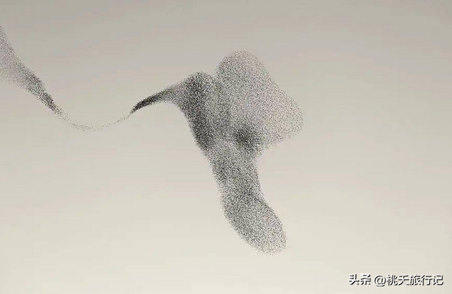 简约黑白线条画人物微信头像，黑白线描画人物头像（2022年黑白极简主义摄影获奖作品）