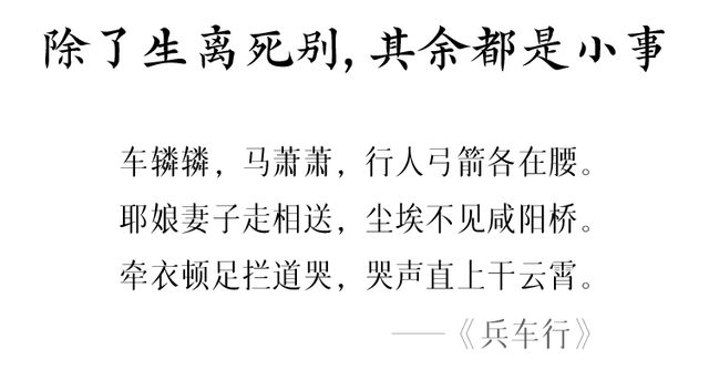 杜甫最经典的诗，经典杜甫诗歌（道尽了人间的残酷真相）